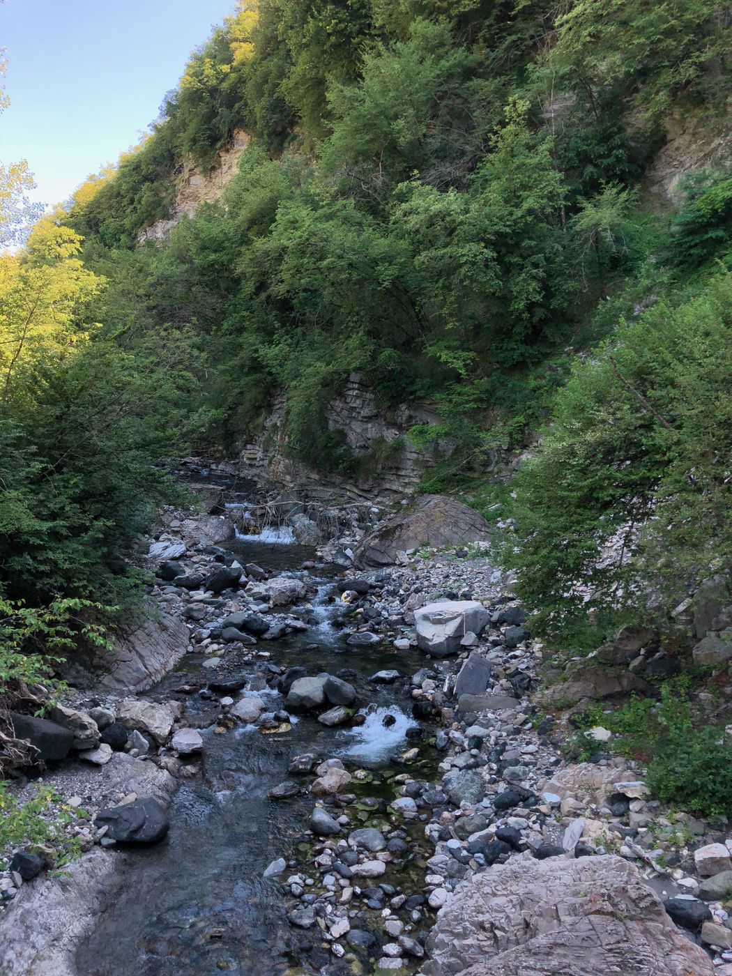 Torrente tra le rocce vicino ai campi